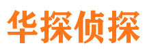 冷湖市侦探公司